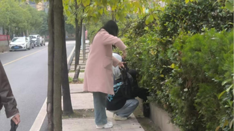 微信图片_20241216092939.png