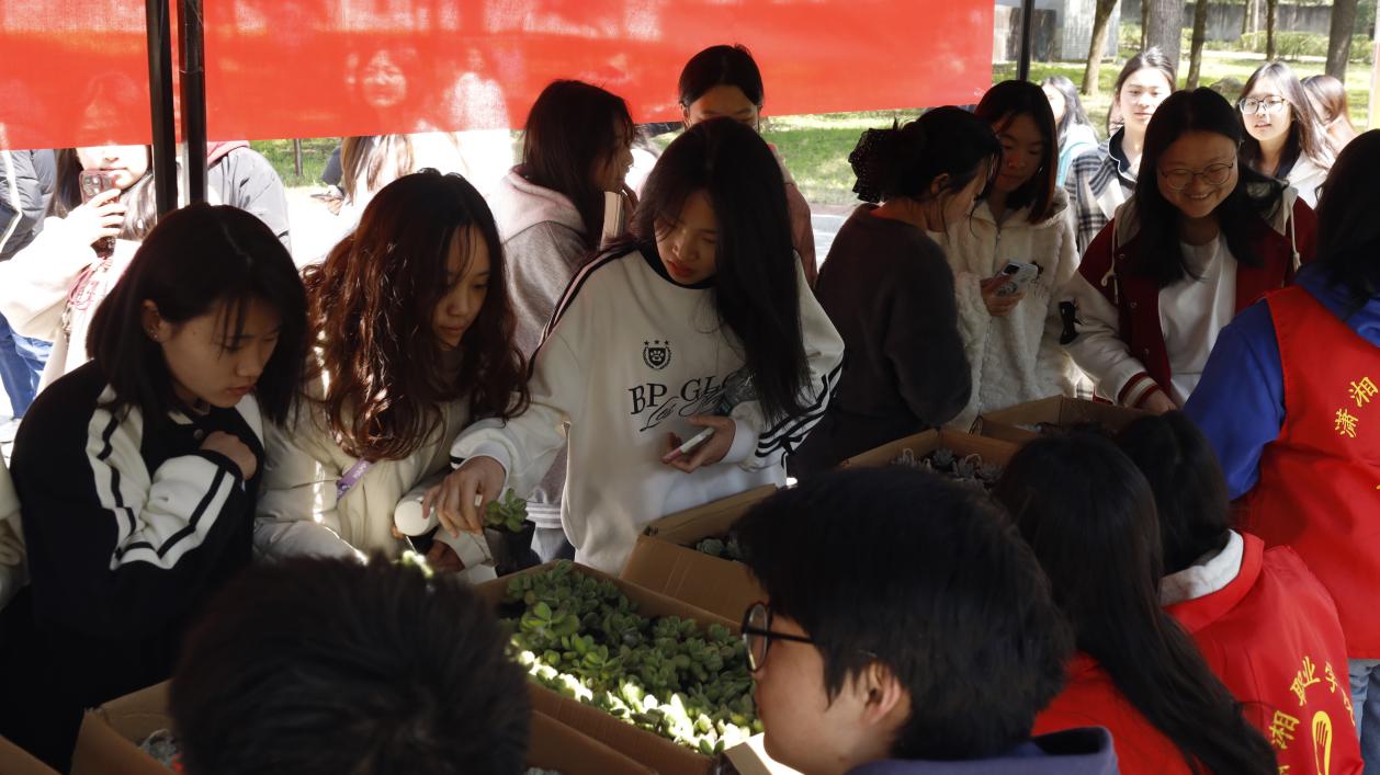 学雷锋月活动｜以废换绿，共筑绿色公益梦