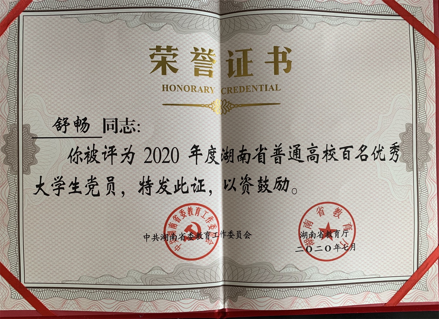 我校学子获评2020年度湖南省普通高校“百名优秀大学生党员”