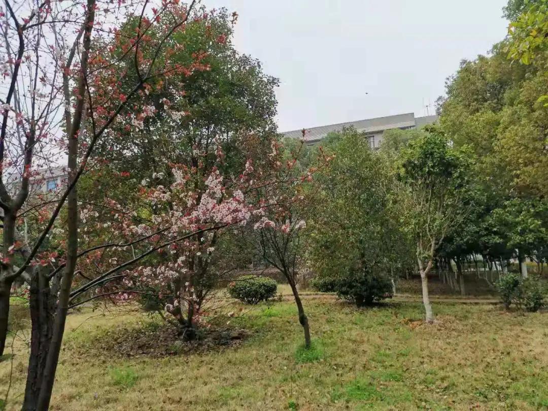 微信图片_20211210181700.jpg 微信图片_20211210181700.jpg
