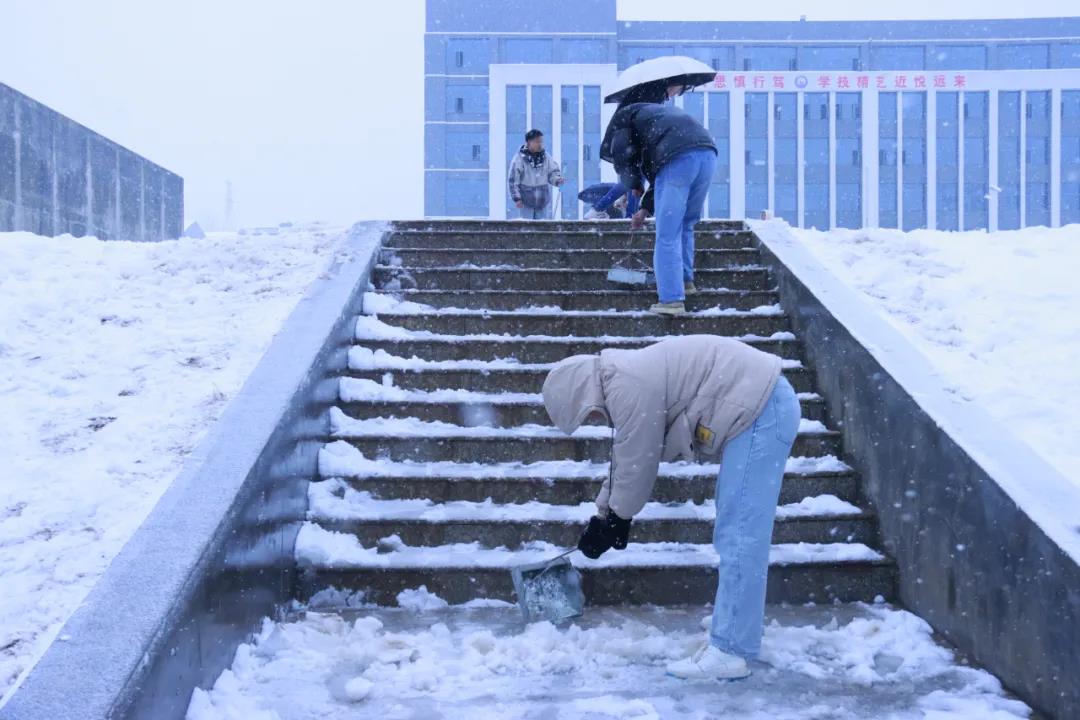 05.jpg