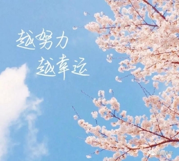 640.webp (3)