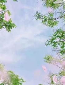 640.webp (4)